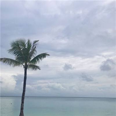 绝世仙皇手游下载